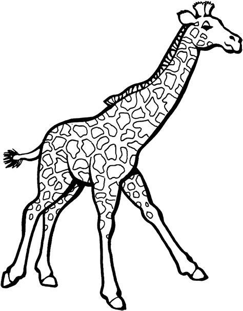 Printable Coloring Pictures Of Giraffes
